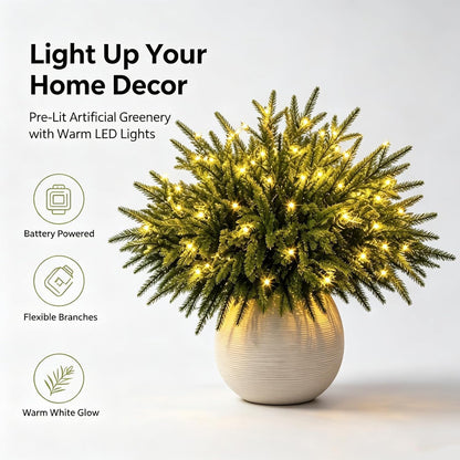 Jexlorani® Everglow Evergreen Pine Tree