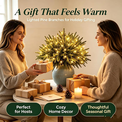 Jexlorani® Everglow Evergreen Pine Tree